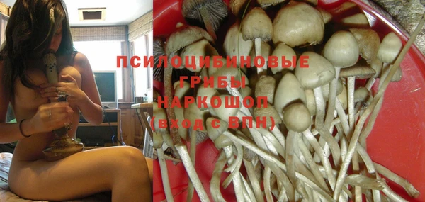 прущие крисы Володарск