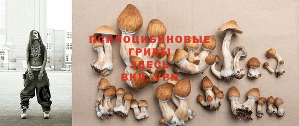 прущие крисы Володарск