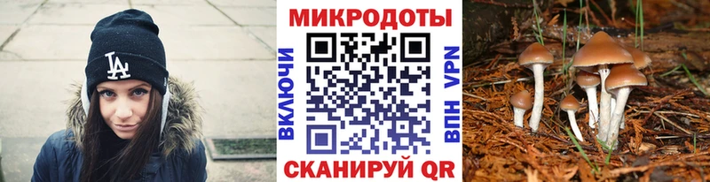 где найти blacksprut ССЫЛКА Галлюциногенные грибы мухоморы Новоржев